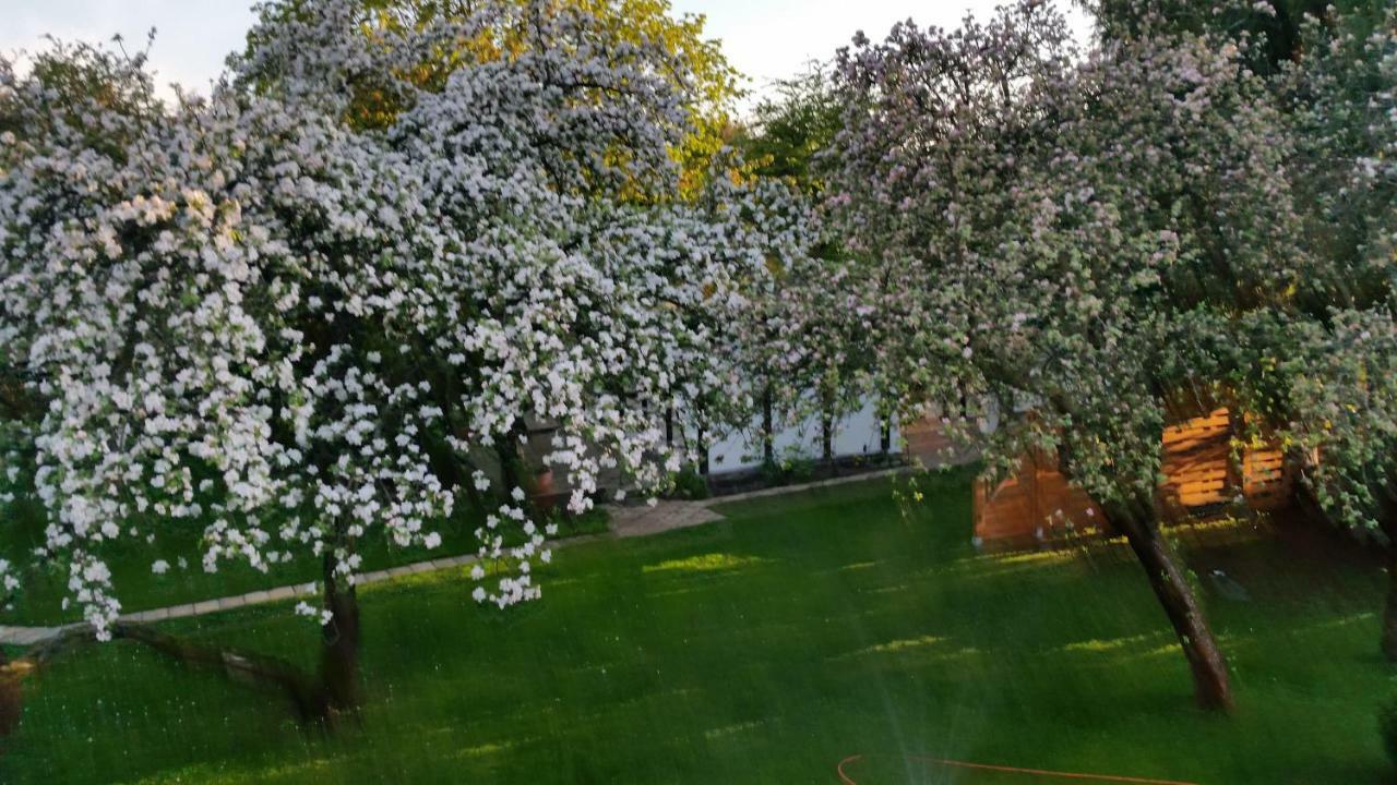 Ferienhaus Gregor Birkenwerder المظهر الخارجي الصورة